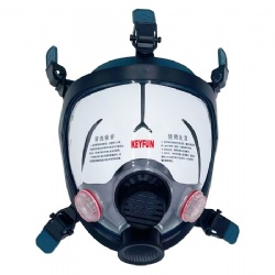 Full Facepiece Reusable Respirator