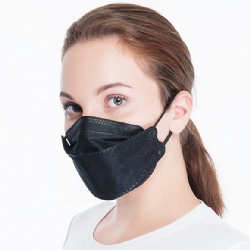 Health Care Particulate Respirator